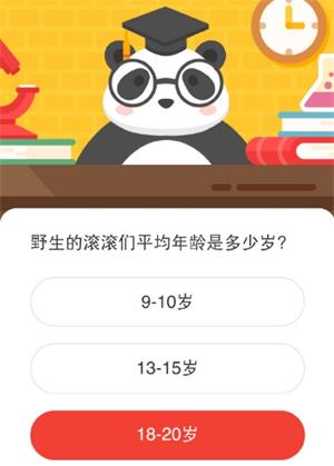 野生的滚滚们平均年龄是多少岁 森林驿站1月20日森林小课堂答案