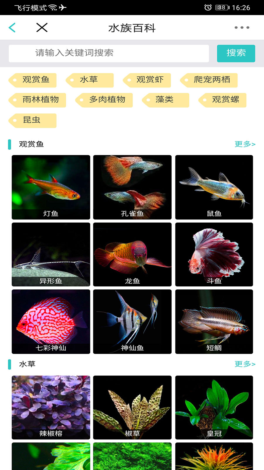 泡泡水族截图(4)