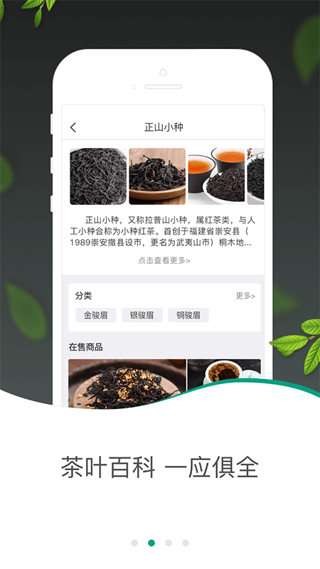 茶急送_图片2