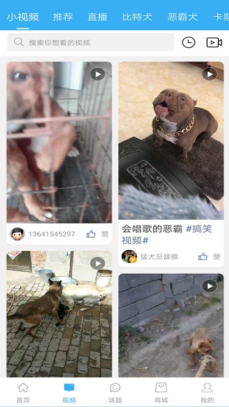 猛犬俱乐部截图(2)