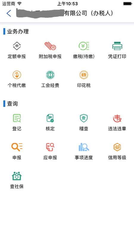 网上税务局截图(4)