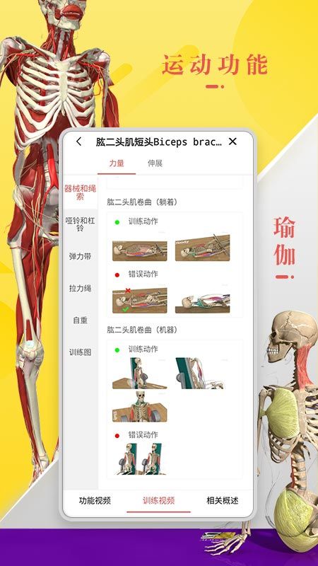 3Dbody解剖截图(1)